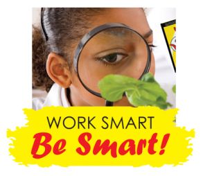 Work Smart - Be Smart